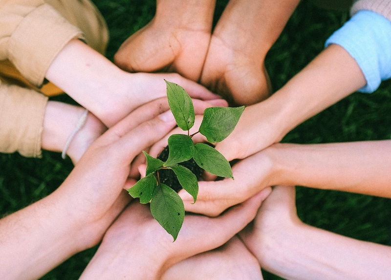Las notas de prensa RSC pueden darte a conocer